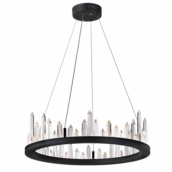 Picture of 24" LED Chandelier with Black Finish
