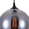 Picture of 10" 1 Light Down Mini Pendant with Transparent Smoke finish