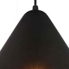 Picture of 10" 1 Light Down Pendant with Black & Gold finish