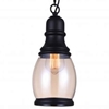 Picture of 11" 1 Light Down Mini Pendant with Black finish