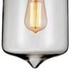 Picture of 11" 1 Light Down Mini Pendant with Transparent Smoke finish