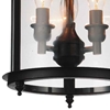 Picture of 11" 3 Light Cage Flush Mount with Oil Rubbed Bronze finish