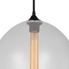 Picture of 12" 1 Light Down Mini Pendant with Transparent finish