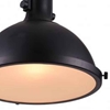 Picture of 12" 1 Light Down Pendant with Black finish