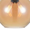 Picture of 12" 2 Light Down Mini Pendant with Transparent Cognac finish