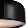 Picture of 14" 2 Light Drum Shade Flush Mount with Black finish