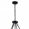 Picture of 30" 8 Light  Chandelier with Black finish